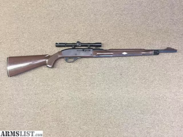 Remington Nylon 66 from Reloading Center near Burley, Idaho, USA