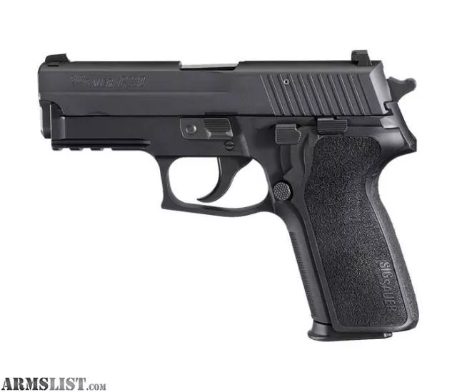 SIG 229 TACPAC (40S&W) from Michigan Shooting Centers near Lake Orion, Michigan, USA