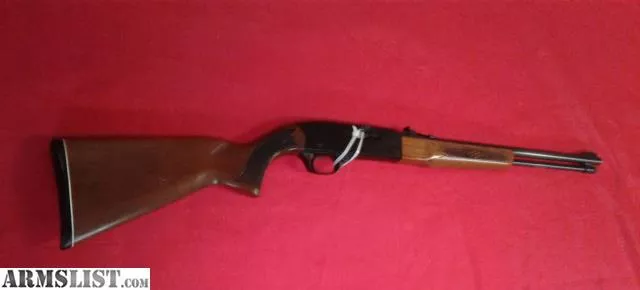 Winchester 22 from 500 Guns near Indianapolis, IN
